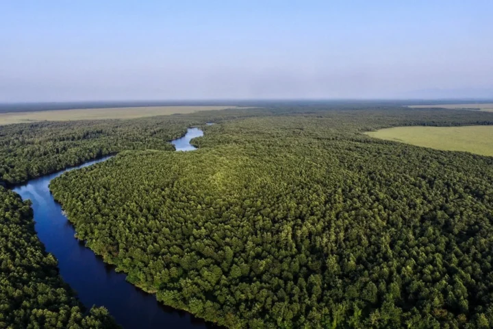 Kolkheti National Park